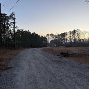 Photo #13 of TBD Belland Ct., Loris, SC 1.3 acres
