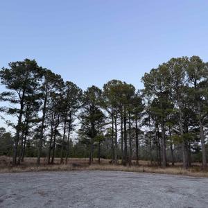 Photo #1 of TBD Belland Ct., Loris, SC 1.3 acres
