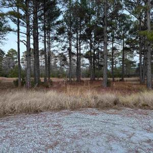 Photo #3 of TBD Belland Ct., Loris, SC 1.3 acres