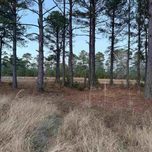 Photo #5 of TBD Belland Ct., Loris, SC 1.3 acres