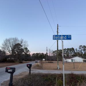 Photo #11 of TBD Belland Ct., Loris, SC 1.3 acres