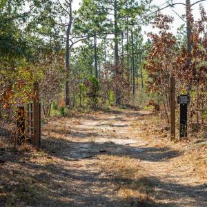 View of dirt / gravel road with a view of trees