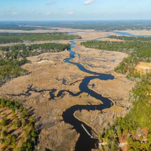 View of property location featuring a forest