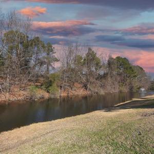 Photo #5 of 927 Shipmaster Ave., Myrtle Beach, SC 0.3 acres