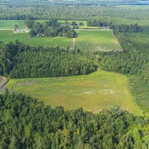 Photo #9 of TBD 37 Acres Highway 9 W, Nichols, SC 37.0 acres