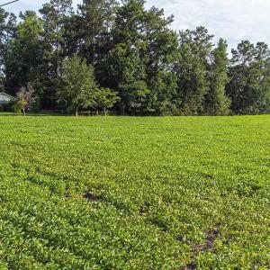 Aerial view of sparsely populated area with extens