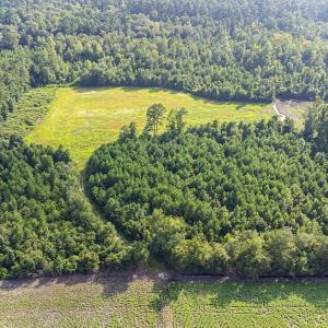 Photo #6 of TBD 37 Acres Highway 9 W, Nichols, SC 37.0 acres