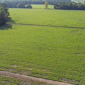 Aerial overview of property's location featuring a