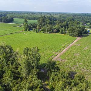 Photo #14 of TBD 37 Acres Highway 9 W, Nichols, SC 37.0 acres