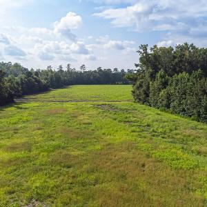 Photo #12 of TBD 37 Acres Highway 9 W, Nichols, SC 37.0 acres
