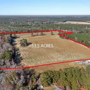 Overview of rural landscape featuring a forest and