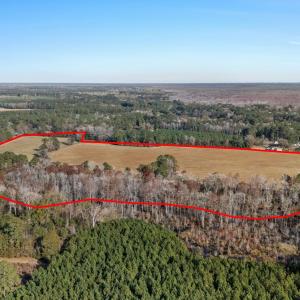 View of property location with a heavily wooded ar