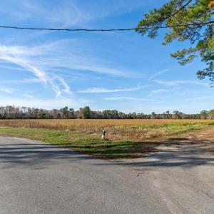 View of asphalt road with a view of rural / pastor