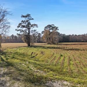 View of yard featuring a view of countryside and a