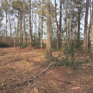 View of undeveloped land