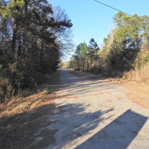 View of dirt / gravel road