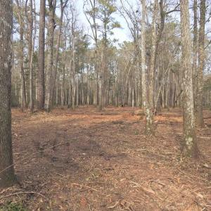 Photo #6 of 301 Bella Rd., Myrtle Beach, SC 7.4 acres