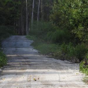 Photo #23 of 301 Bella Rd., Myrtle Beach, SC 7.4 acres
