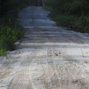 Photo #25 of 301 Bella Rd., Myrtle Beach, SC 7.4 acres