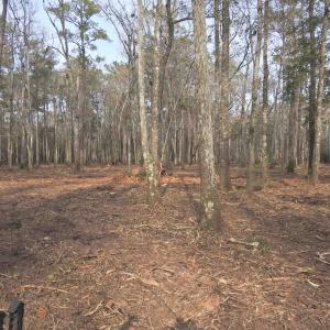Photo #4 of 301 Bella Rd., Myrtle Beach, SC 7.4 acres