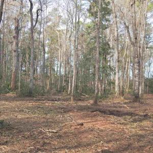 Photo #16 of 301 Bella Rd., Myrtle Beach, SC 7.4 acres