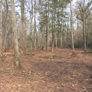Photo #7 of 301 Bella Rd., Myrtle Beach, SC 7.4 acres