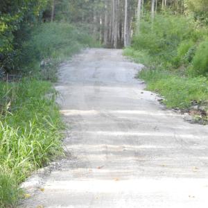 Photo #22 of 301 Bella Rd., Myrtle Beach, SC 7.4 acres