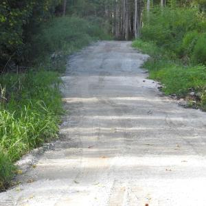 Photo #21 of 301 Bella Rd., Myrtle Beach, SC 7.4 acres