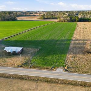 Photo #5 of Tract 2 Fries Bay Rd., Loris, SC 8.0 acres