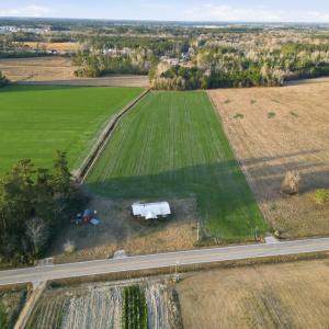 Photo #3 of Tract 2 Fries Bay Rd., Loris, SC 8.0 acres