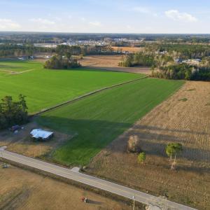Photo #4 of Tract 2 Fries Bay Rd., Loris, SC 8.0 acres