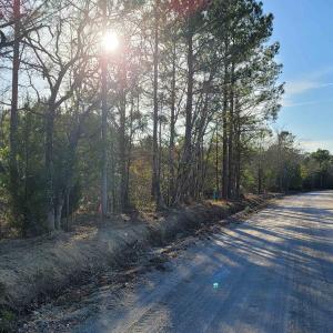 Photo #4 of TBD lot 3 Auburn Rd., Loris, SC 3.4 acres
