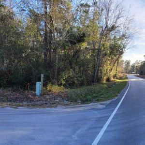 Photo #9 of TBD 2 Auburn Rd., Loris, SC 3.4 acres