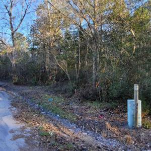 Photo #5 of TBD 2 Auburn Dr., Loris, SC 3.4 acres