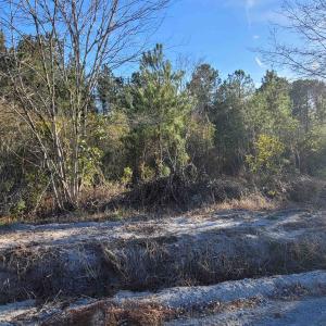 Photo #5 of TBD 1 Log Cabin Rd., Loris, SC 3.4 acres