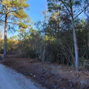 Photo #6 of TBD 1 Log Cabin Rd., Loris, SC 3.4 acres