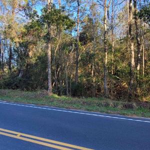Photo #3 of TBD Log Cabin Rd., Loris, SC 10.3 acres