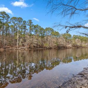 Water view featuring a heavily wooded area