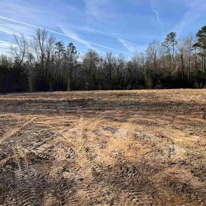 View of undeveloped land