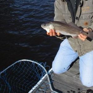 Photo #16 of Slip 40 Friendfield Marina, Georgetown, SC 0.2 acres