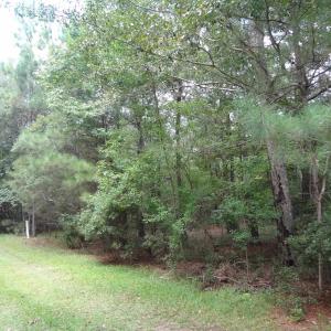 Photo #4 of Slip 40 Friendfield Marina, Georgetown, SC 0.2 acres