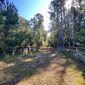 Photo #3 of TBD Highway 701 South, Georgetown, SC 58.0 acres