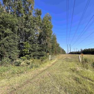 Photo #7 of TBD Highway 701 South, Georgetown, SC 58.0 acres