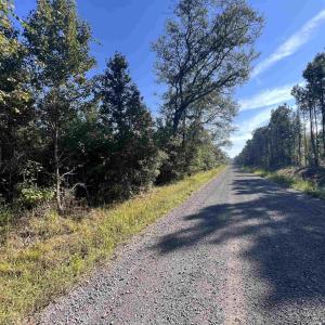 Photo #6 of TBD Highway 701 South, Georgetown, SC 58.0 acres