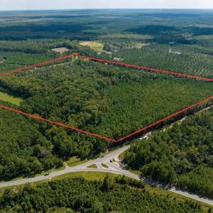 Photo #1 of TBD Highway 701 South, Georgetown, SC 58.0 acres