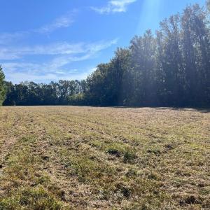 Photo #5 of TBD Highway 701 South, Georgetown, SC 58.0 acres