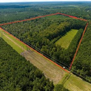 Photo #2 of TBD Highway 701 South, Georgetown, SC 58.0 acres