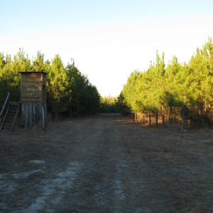 View of dirt / gravel road with a rural view