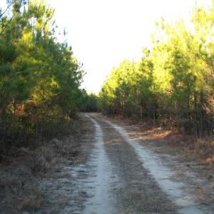 View of street