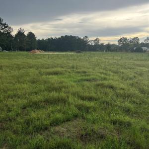 Photo #1 of TBD Lexyryan Ct., Latta, SC 0.6 acres